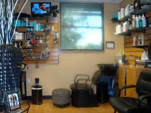 Shonia's Salon